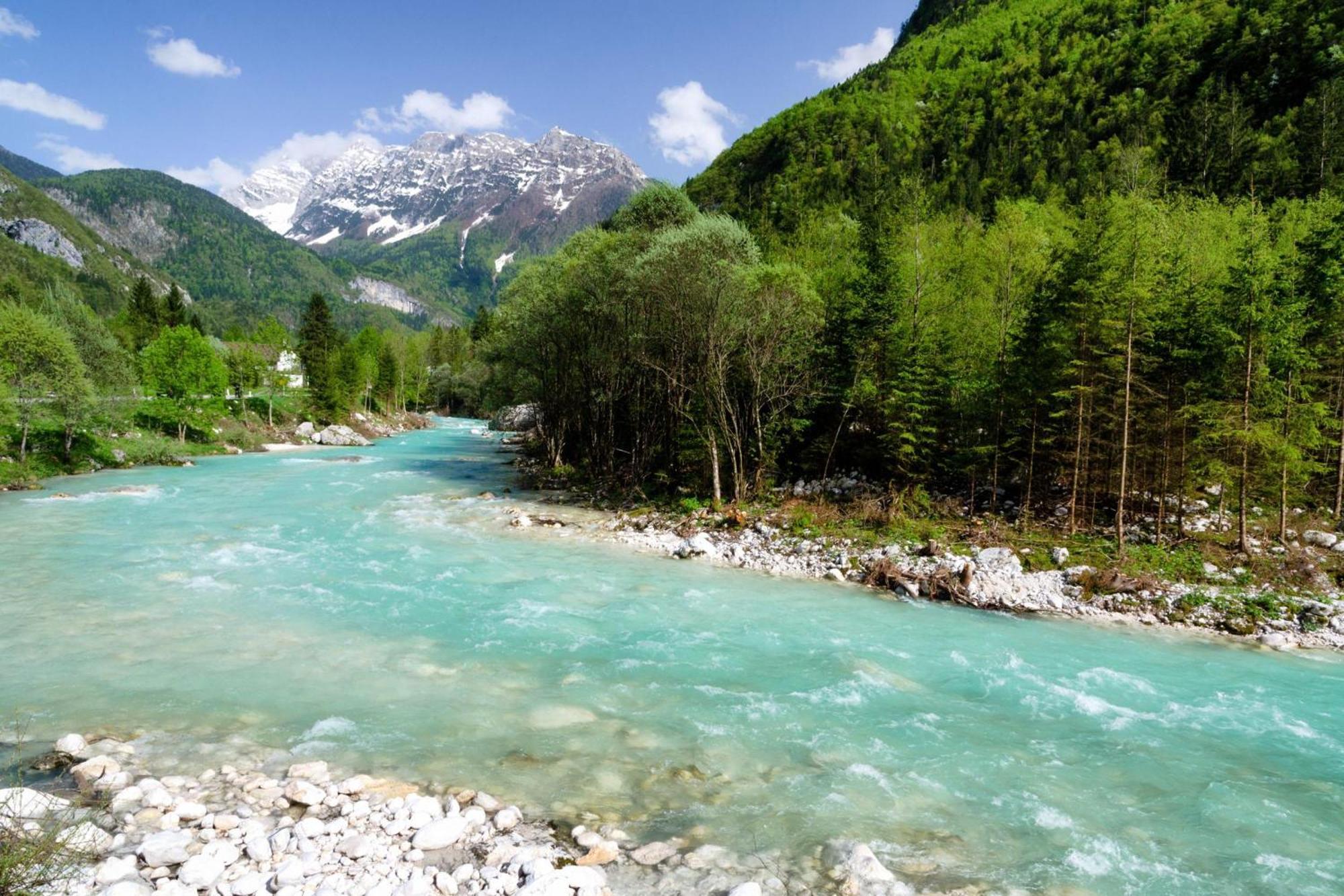 Chalet Primus Near Soca Gorge - Happy Rentals المظهر الخارجي الصورة